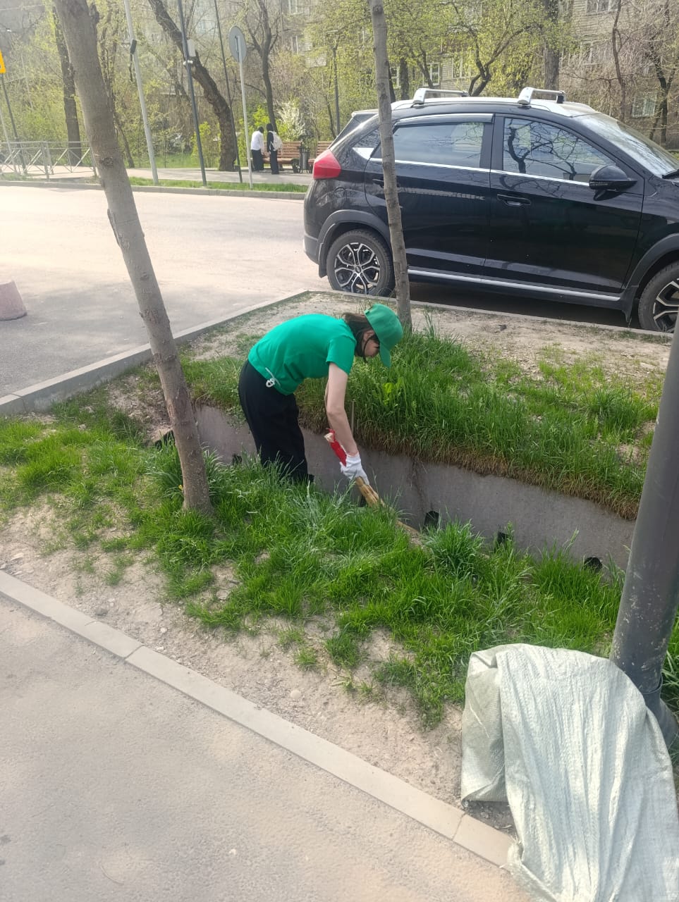 Қалалық сенбілік